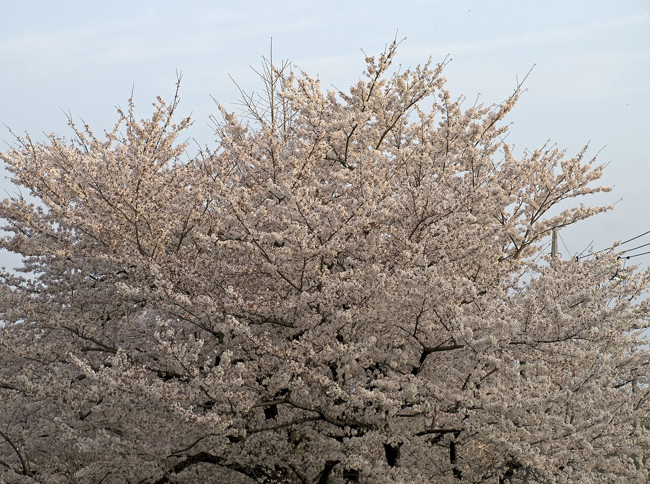 厚木市の斎場